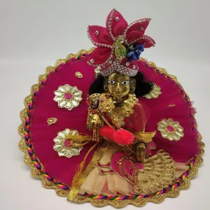 Designer Pink Colour Dress With Beautiful Peacock Patch