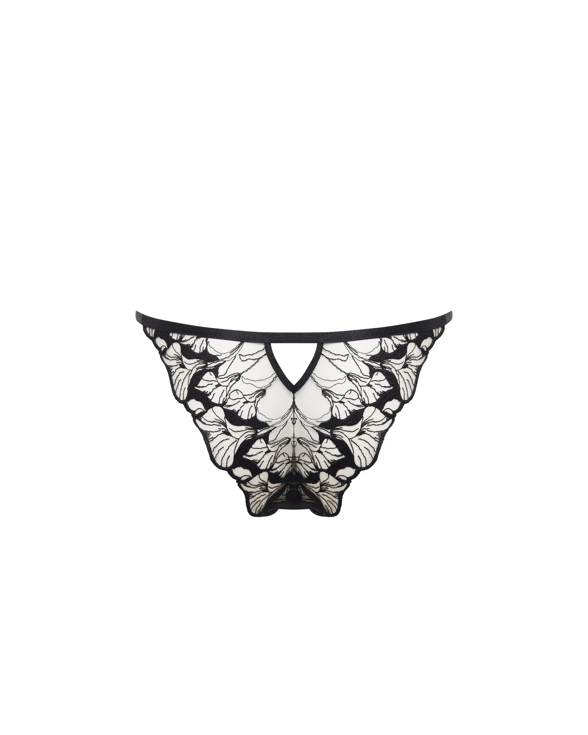 Kalmia Panty Black/Sheer