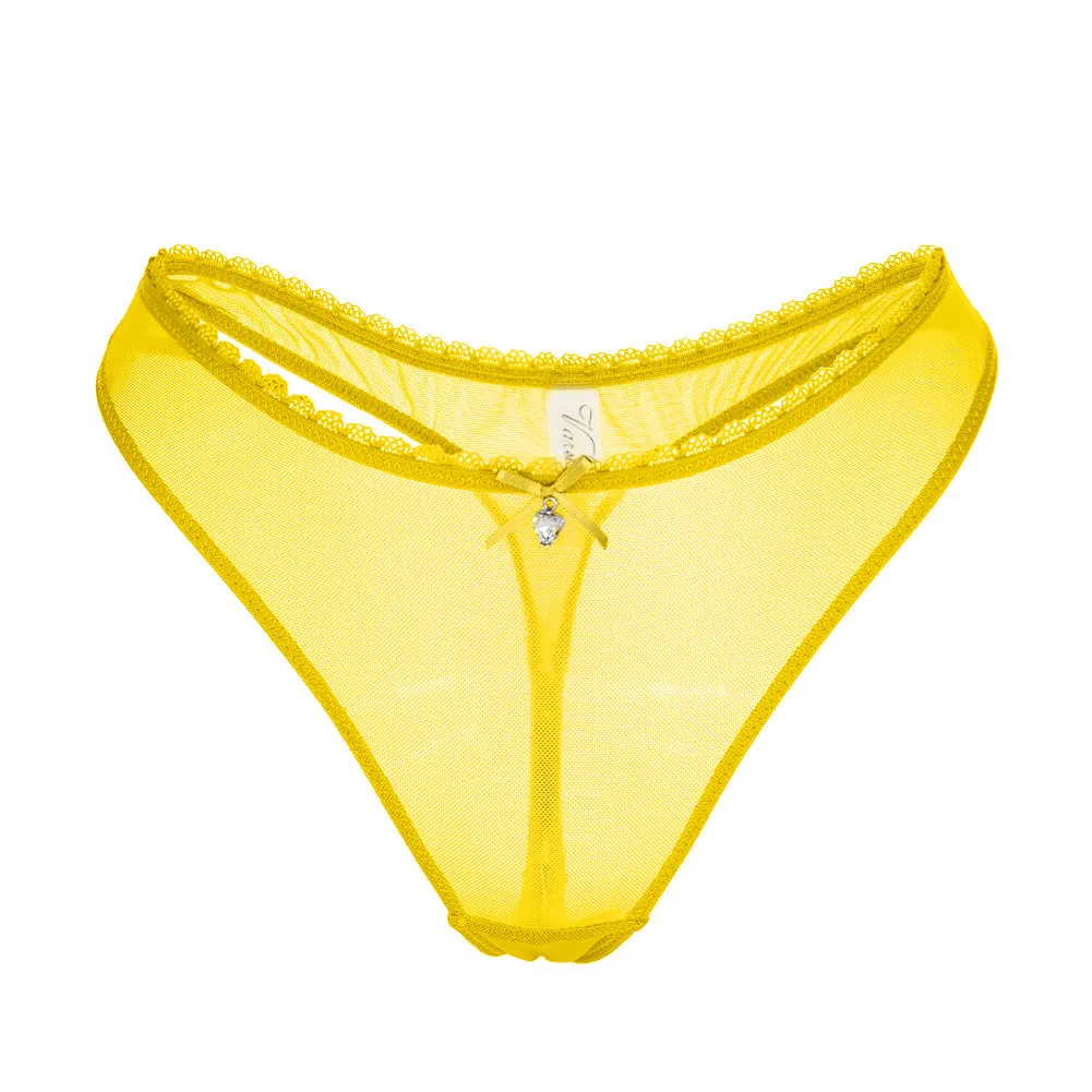 Sheer Lace Trim Thong