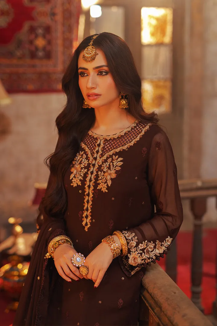 Walnut Brown Embroidered Pakistani Salwar Kameez Dupatta Suit