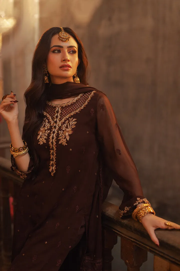 Walnut Brown Embroidered Pakistani Salwar Kameez Dupatta Suit