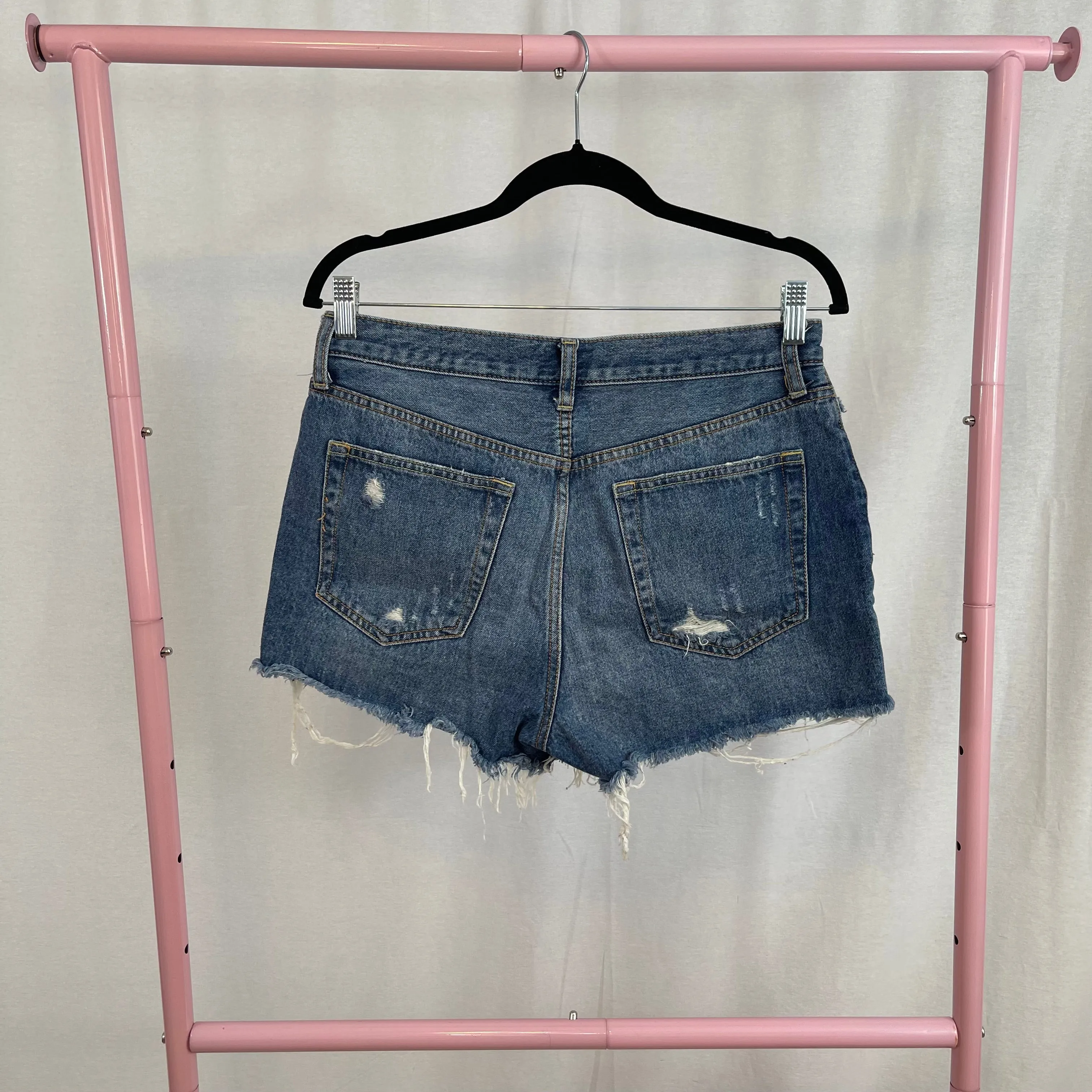 We The Free Denim Distressed Shorts size 29