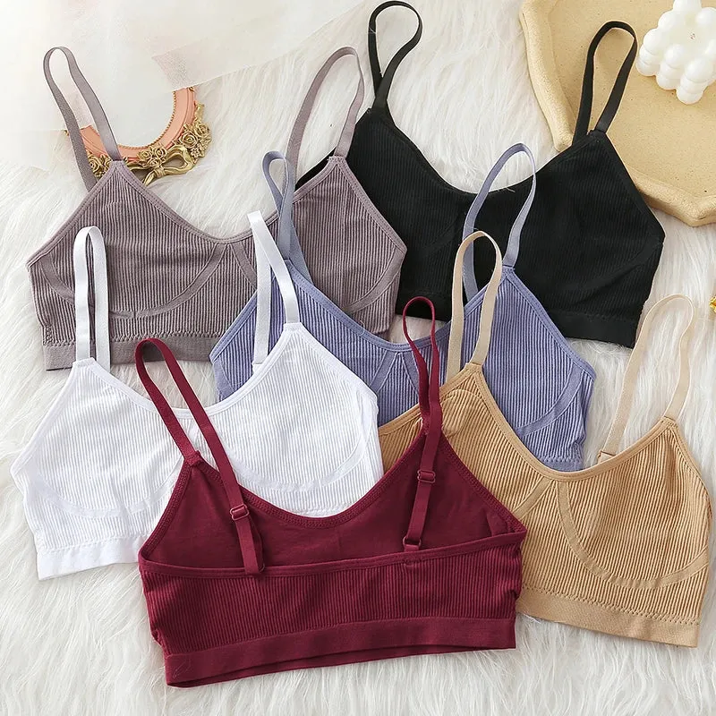 Women's Seamless Wireless Bra - Solid Color Fitness Active Bra